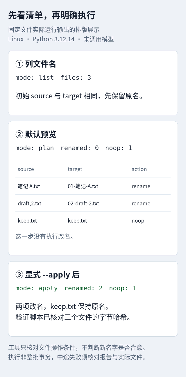 固定文件的真实输出排版展示：先列清单、默认预览，再显式执行；没有调用模型